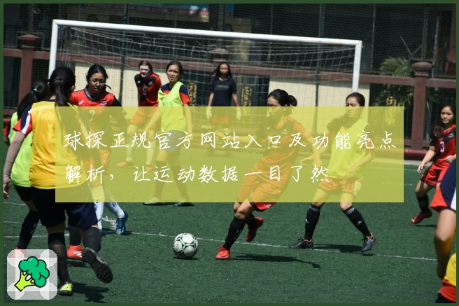 球探正规官方网站入口及功能亮点解析,让运动数据一目了然
