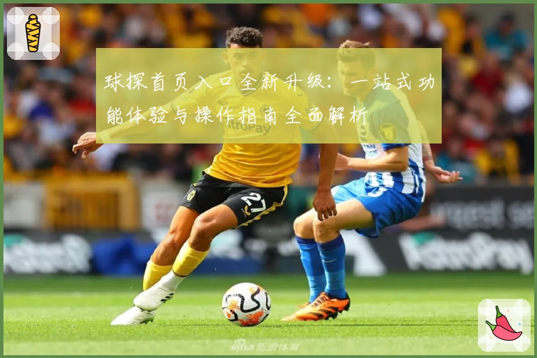 球探首页入口全新升级：一站式功能体验与操作指南全面解析